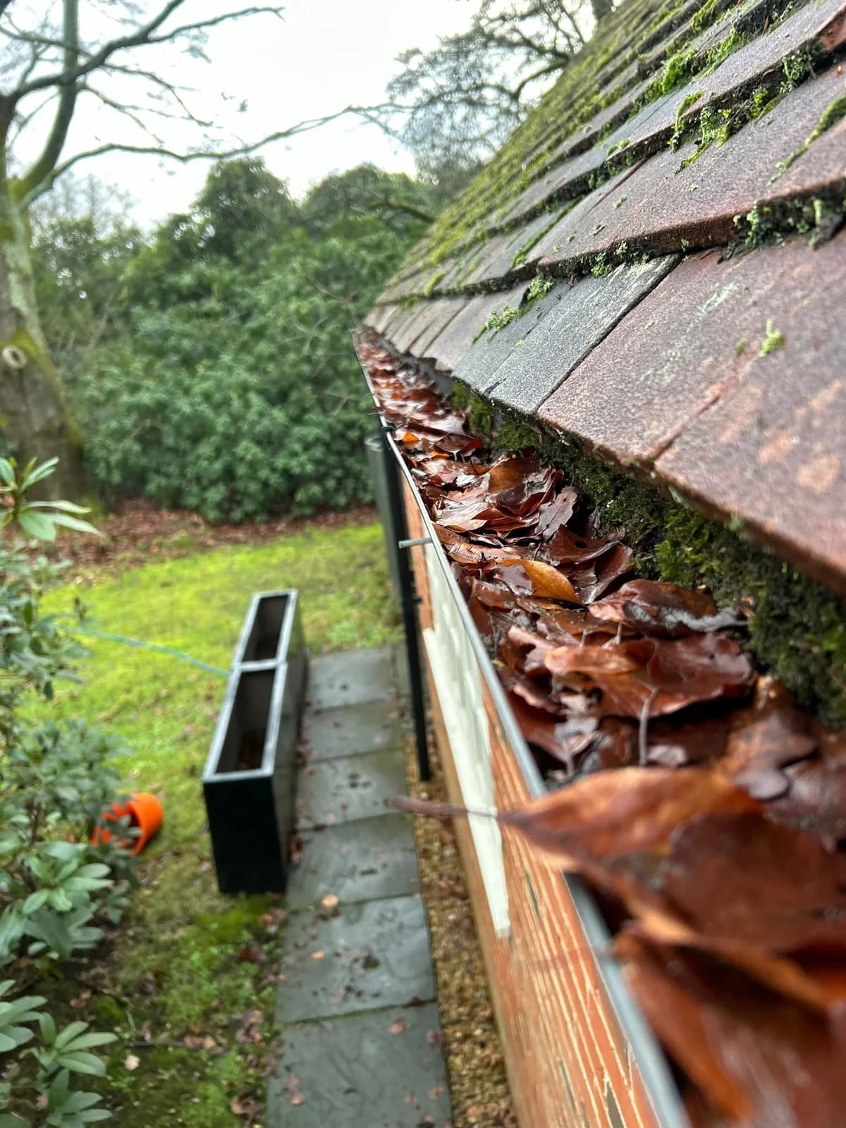Fallen leaves filling a gutter before clearance by our team